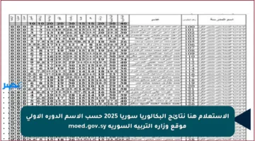 الاستعلام هنا نتائج البكالوريا سوريا 2025 حسب الاسم الدورة الأولى موقع وزارة التربية السورية moed.gov.sy